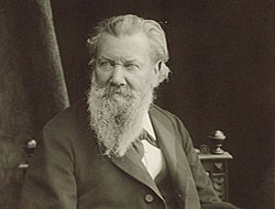 Fonds Ernst St&#252;ckelberg